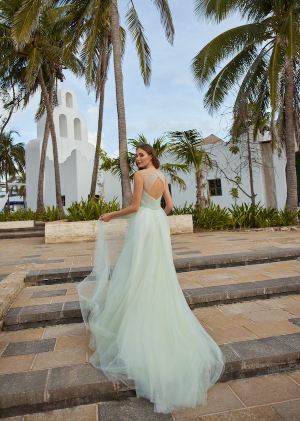 Havana Mint - Libelle