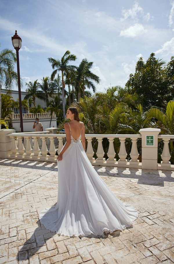 Hayden - Libelle