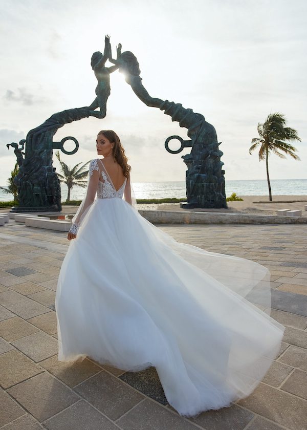 Haylie - Libelle
