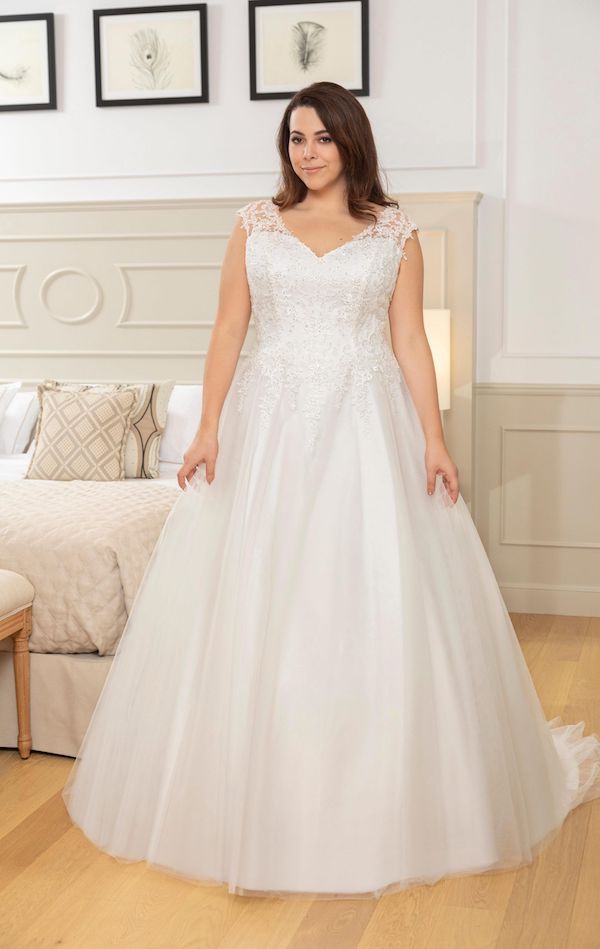 Modèle 238-02 - Curvy