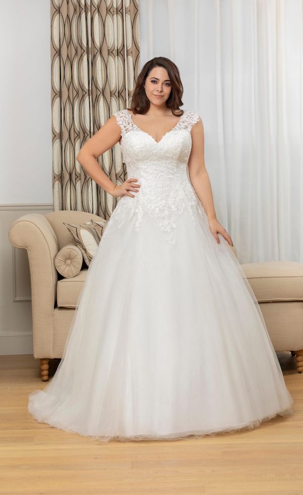 Modèle 238-11 - Curvy