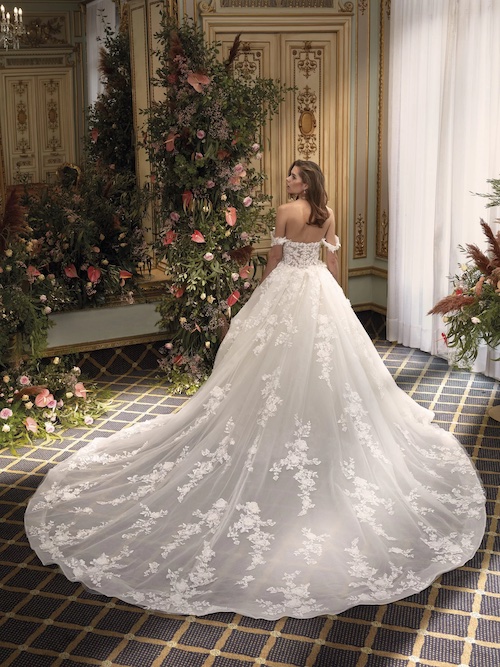 Modèle DP487 - Demetrios Platinum