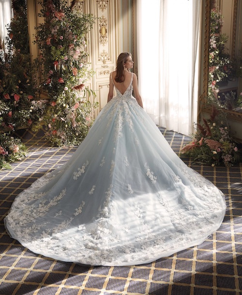 Modèle DP495 - Demetrios Platinum