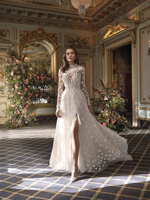 Modèle DP496 - Demetrios Platinum