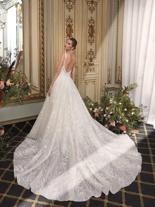 Modèle DP500 - Demetrios Platinum